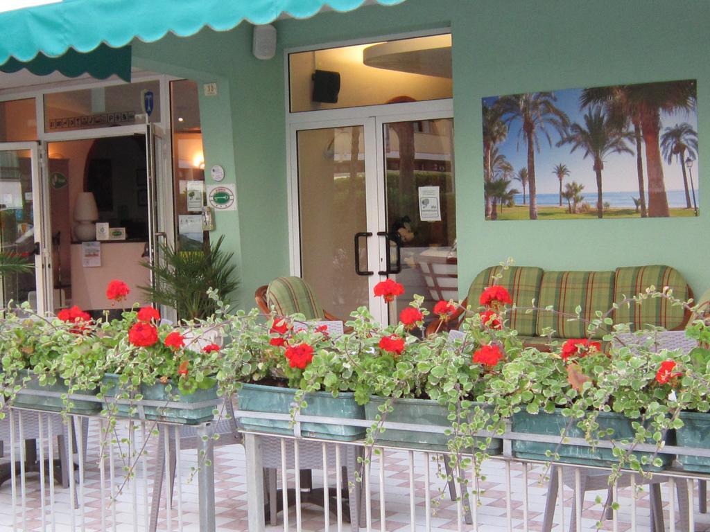 Palme Park & Included Hotel 3*